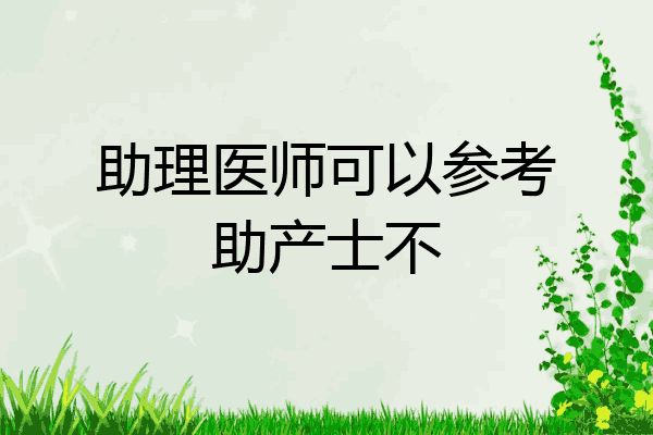 助理医师可以参考助产士不