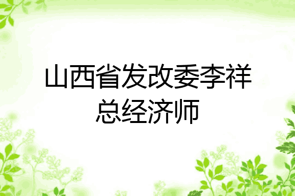 山西省发改委李祥总经济师