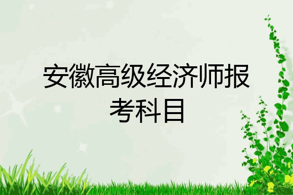 安徽高级经济师报考科目