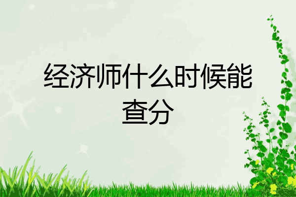经济师什么时候能查分
