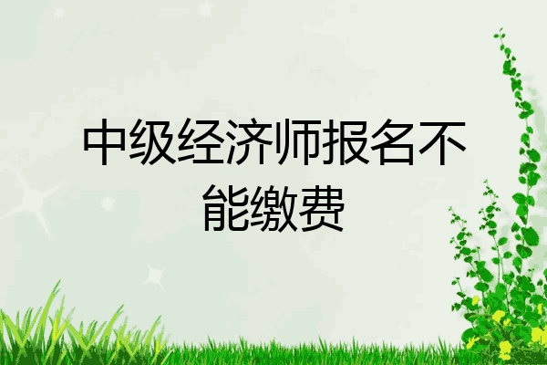 中级经济师报名不能缴费