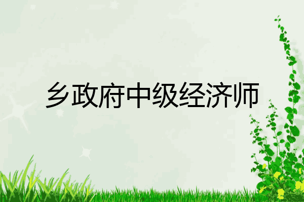 乡政府中级经济师