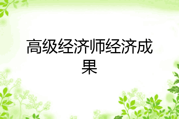 高级经济师经济成果