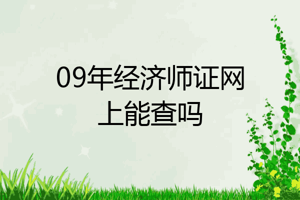 09年经济师证网上能查吗
