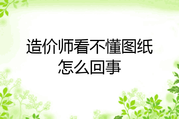造价师看不懂图纸怎么回事