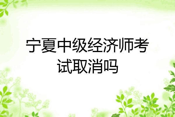 宁夏中级经济师考试取消吗