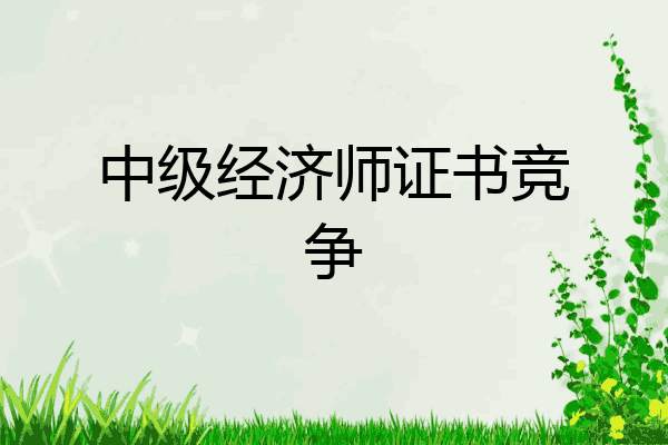 中级经济师证书竞争