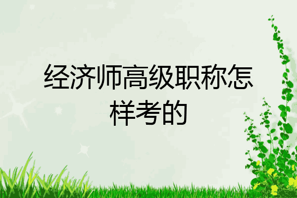 经济师高级职称怎样考的