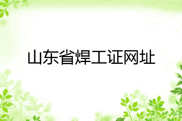 山东省焊工证网址