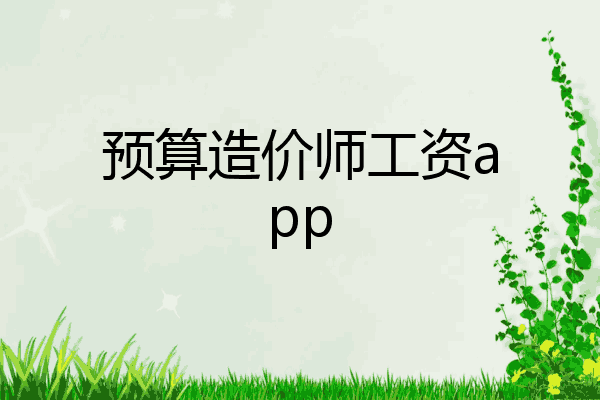 预算造价师工资app