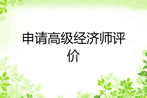 申请高级经济师评价