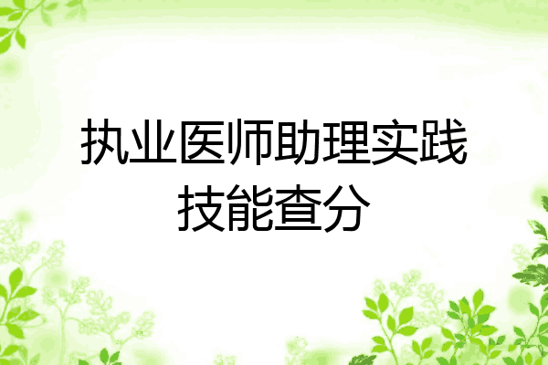 执业医师助理实践技能查分