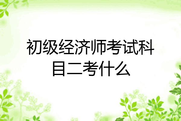 初级经济师考试科目二考什么
