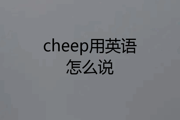 cheep用英语怎么说