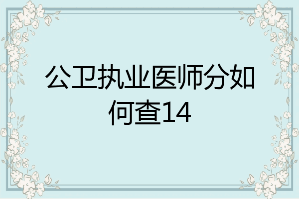 公卫执业医师分如何查14