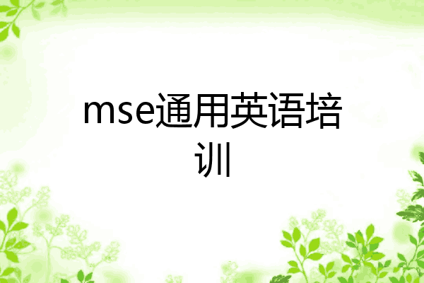 mse通用英语培训