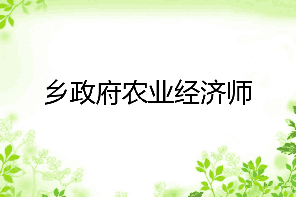 乡政府农业经济师
