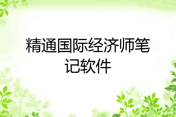 精通国际经济师笔记软件