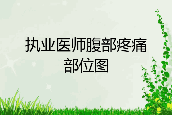 执业医师腹部疼痛部位图