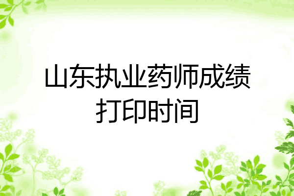 山东执业药师成绩打印时间