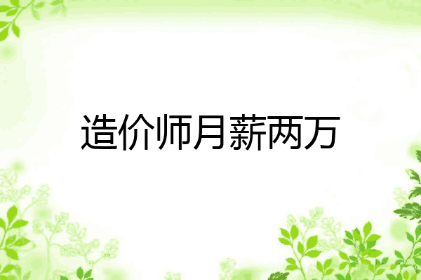 造价师月薪两万