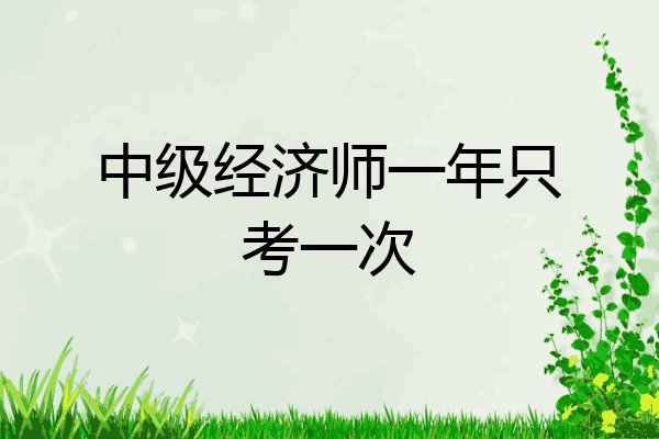 中级经济师一年只考一次