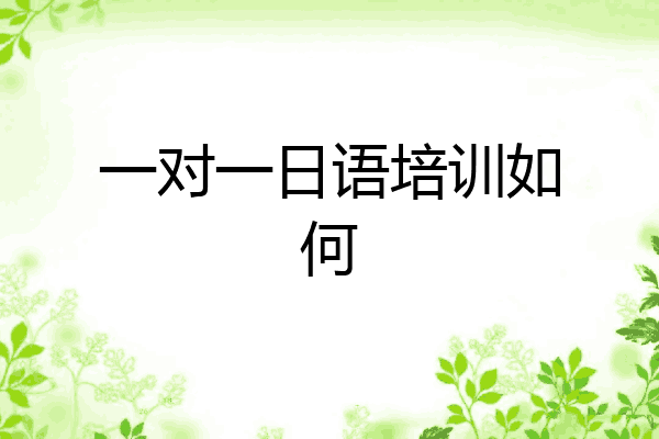 一对一日语培训如何