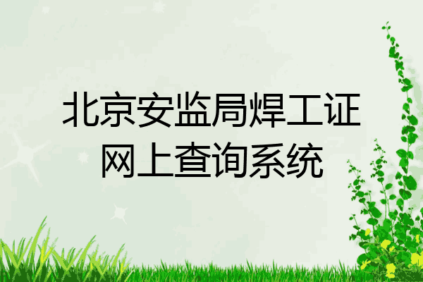 北京安监局焊工证网上查询系统