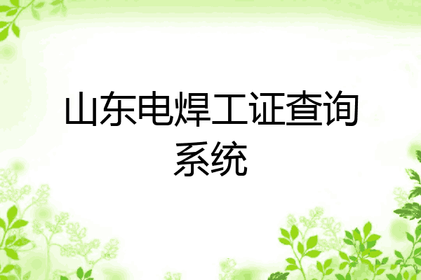 山东电焊工证查询系统