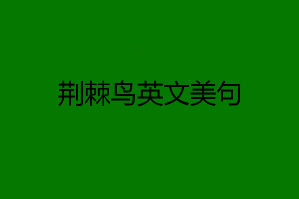 荆棘鸟英文美句