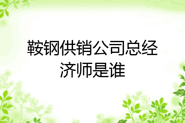 鞍钢供销公司总经济师是谁