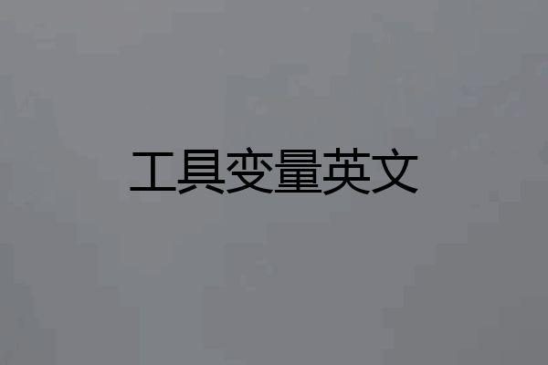 工具变量英文