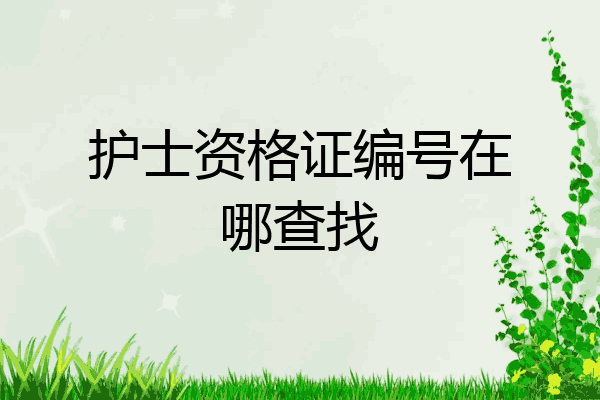 护士资格证编号在哪查找