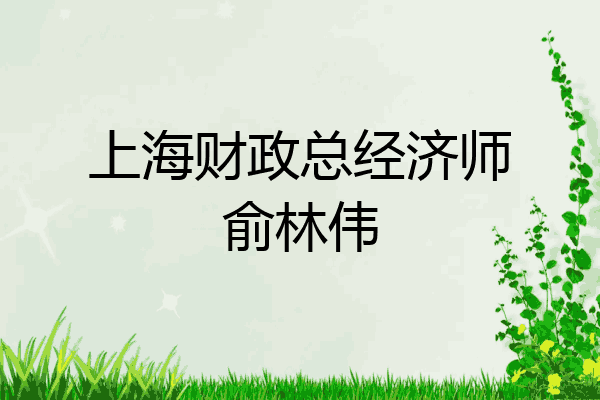 上海财政总经济师俞林伟