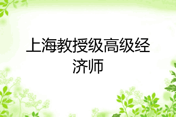 上海教授级高级经济师