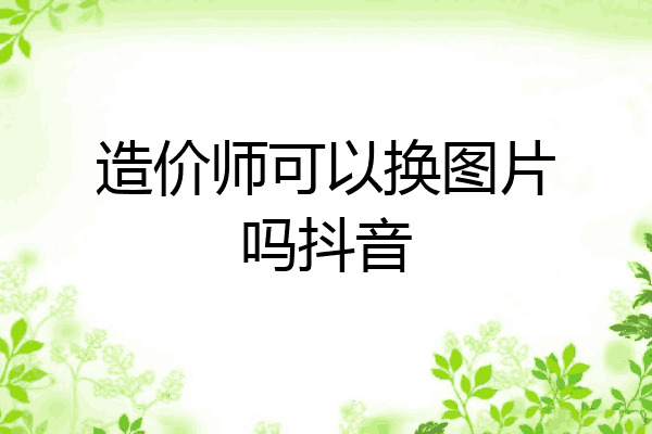 造价师可以换图片吗抖音