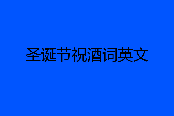 圣诞节祝酒词英文