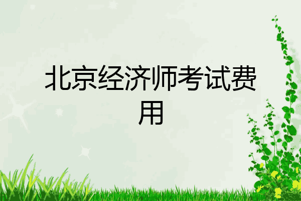 北京经济师考试费用