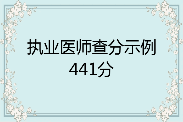 执业医师查分示例441分