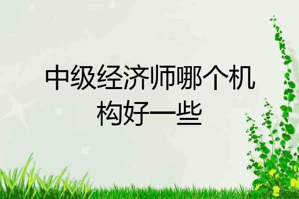 中级经济师哪个机构好一些