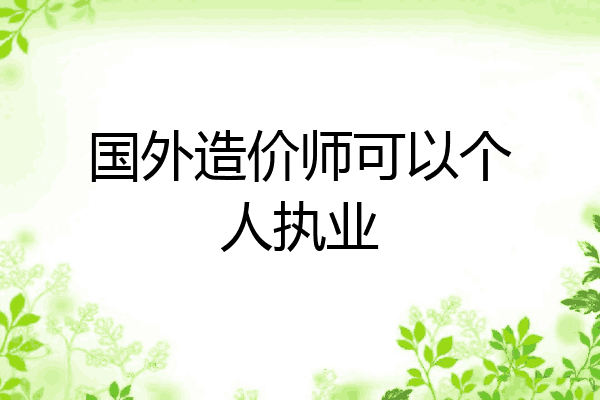 国外造价师可以个人执业