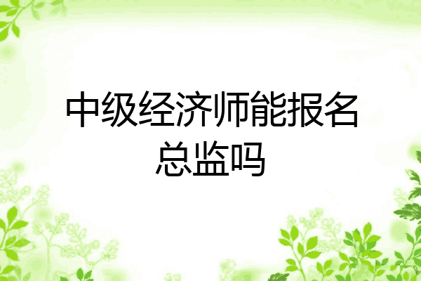 中级经济师能报名总监吗
