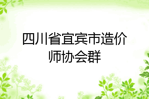 四川省宜宾市造价师协会群