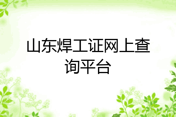 山东焊工证网上查询平台