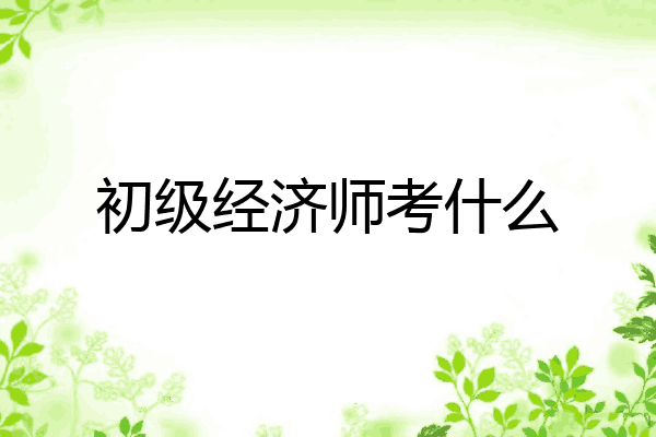 初级经济师考什么