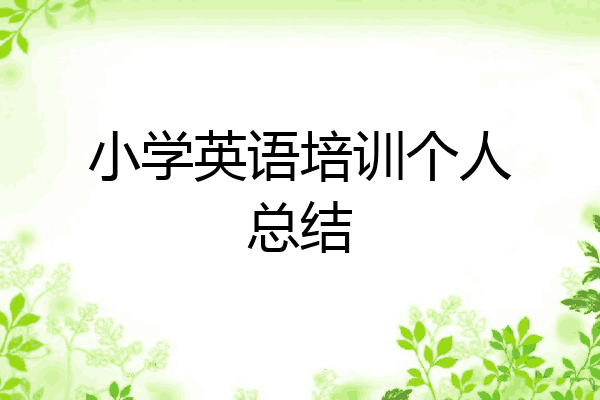 小学英语培训个人总结