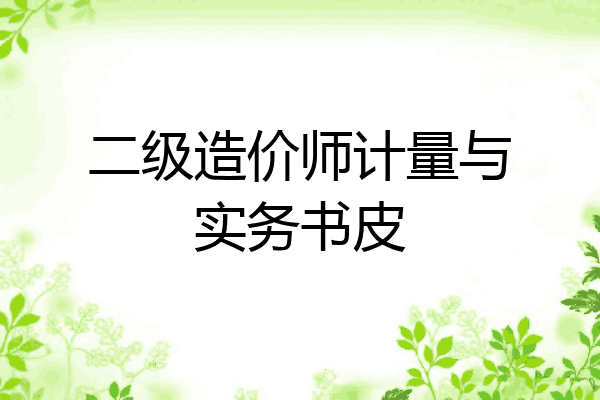 二级造价师计量与实务书皮