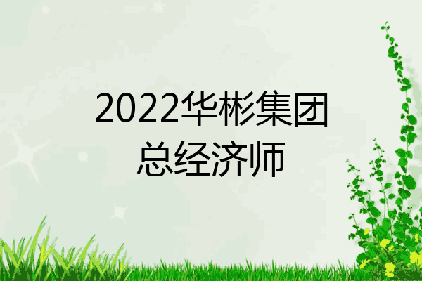 2022华彬集团总经济师