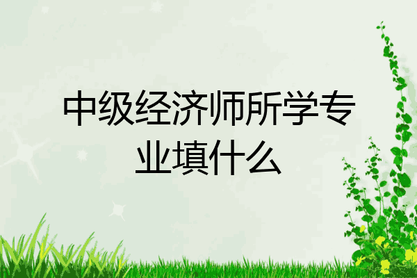 中级经济师所学专业填什么
