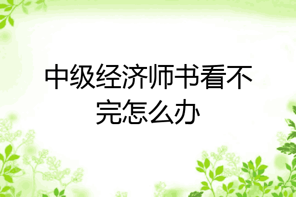 中级经济师书看不完怎么办